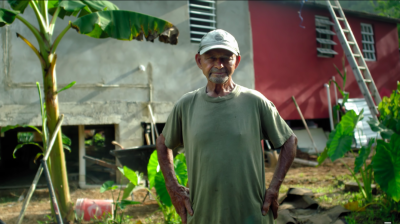 Servpro: Reviving Puerto Rican Farms